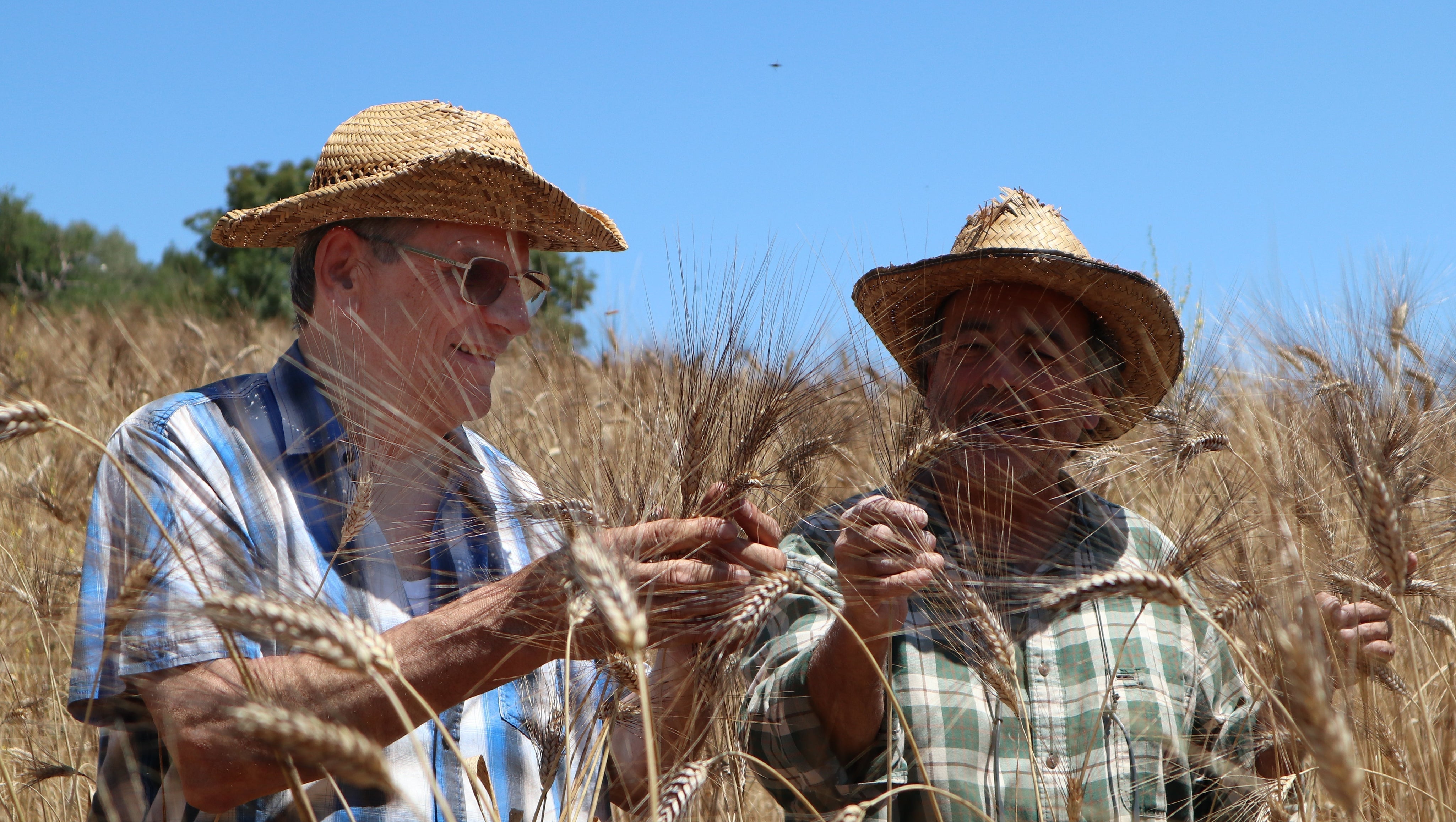 Pasta e filiera corta: tutto quello che c’è da sapere