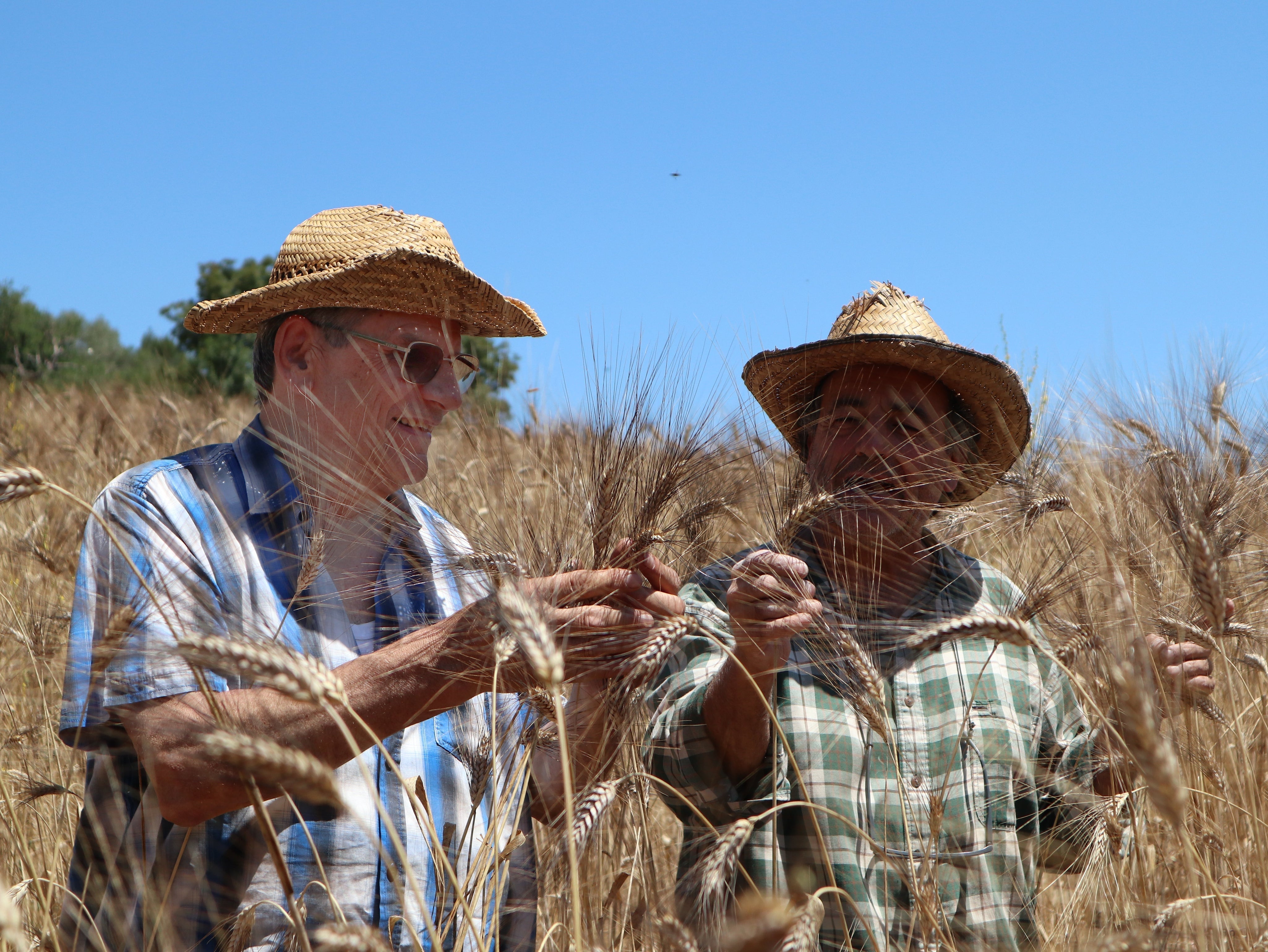 Pasta e filiera corta: tutto quello che c’è da sapere