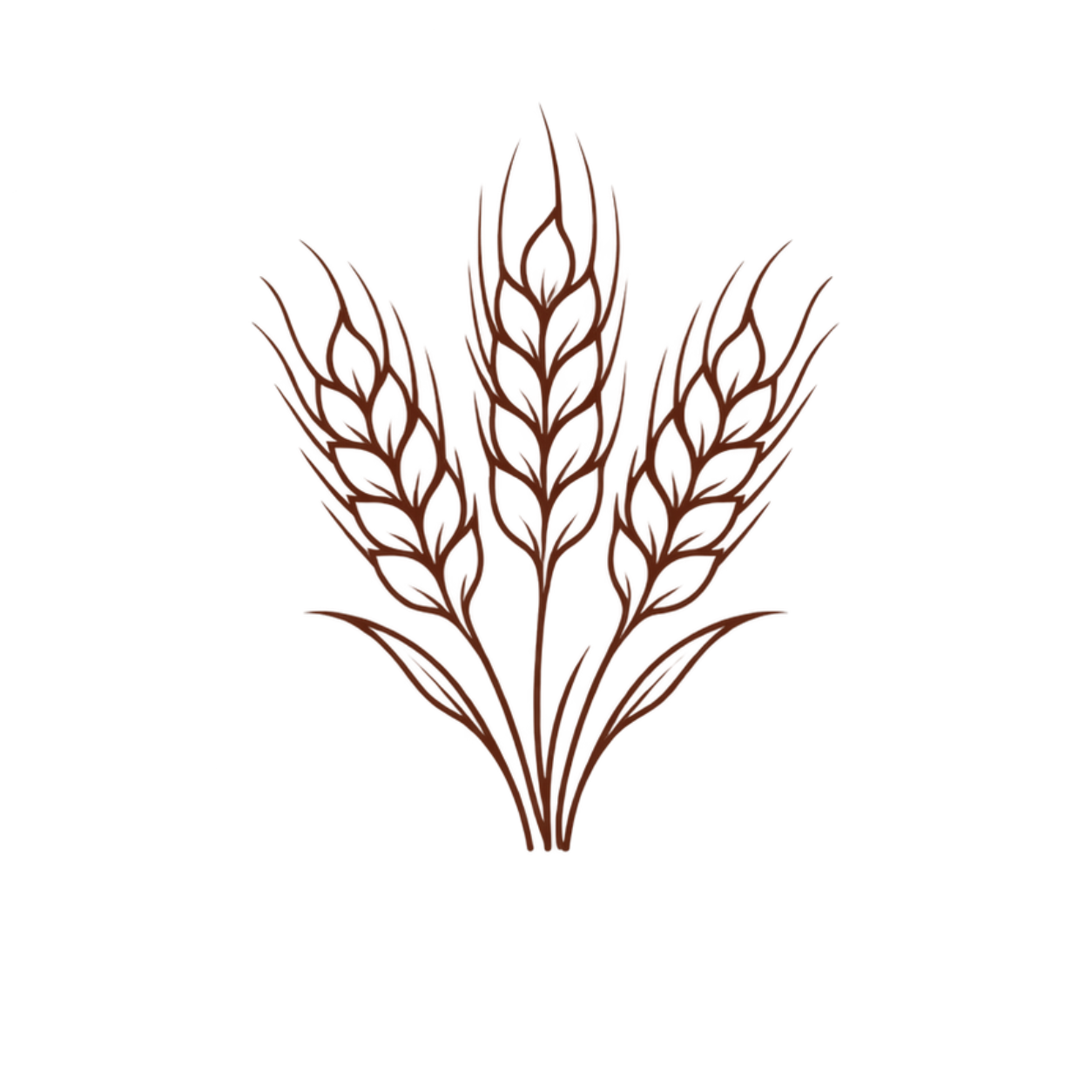 La materia prima